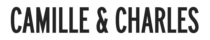 picto alioki webmaster lyon